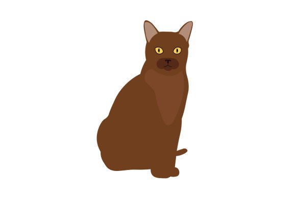 European Burmese Cat Breed Embroidery Design Review